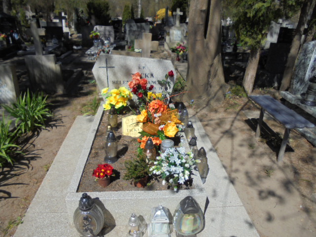 Grób Franciszek Rafalski