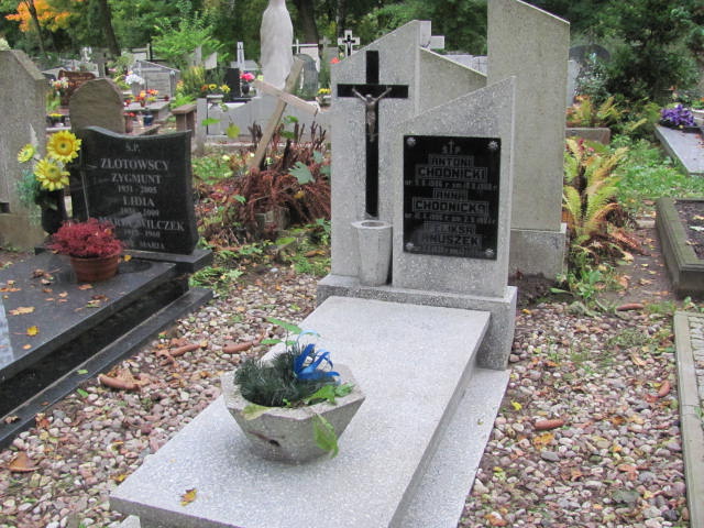 Grób Feliksa Anuszek
