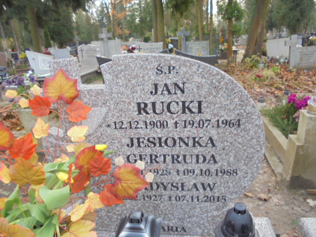 Jan Rucki 1900 Elbląg - Grobonet - Wyszukiwarka osób pochowanych