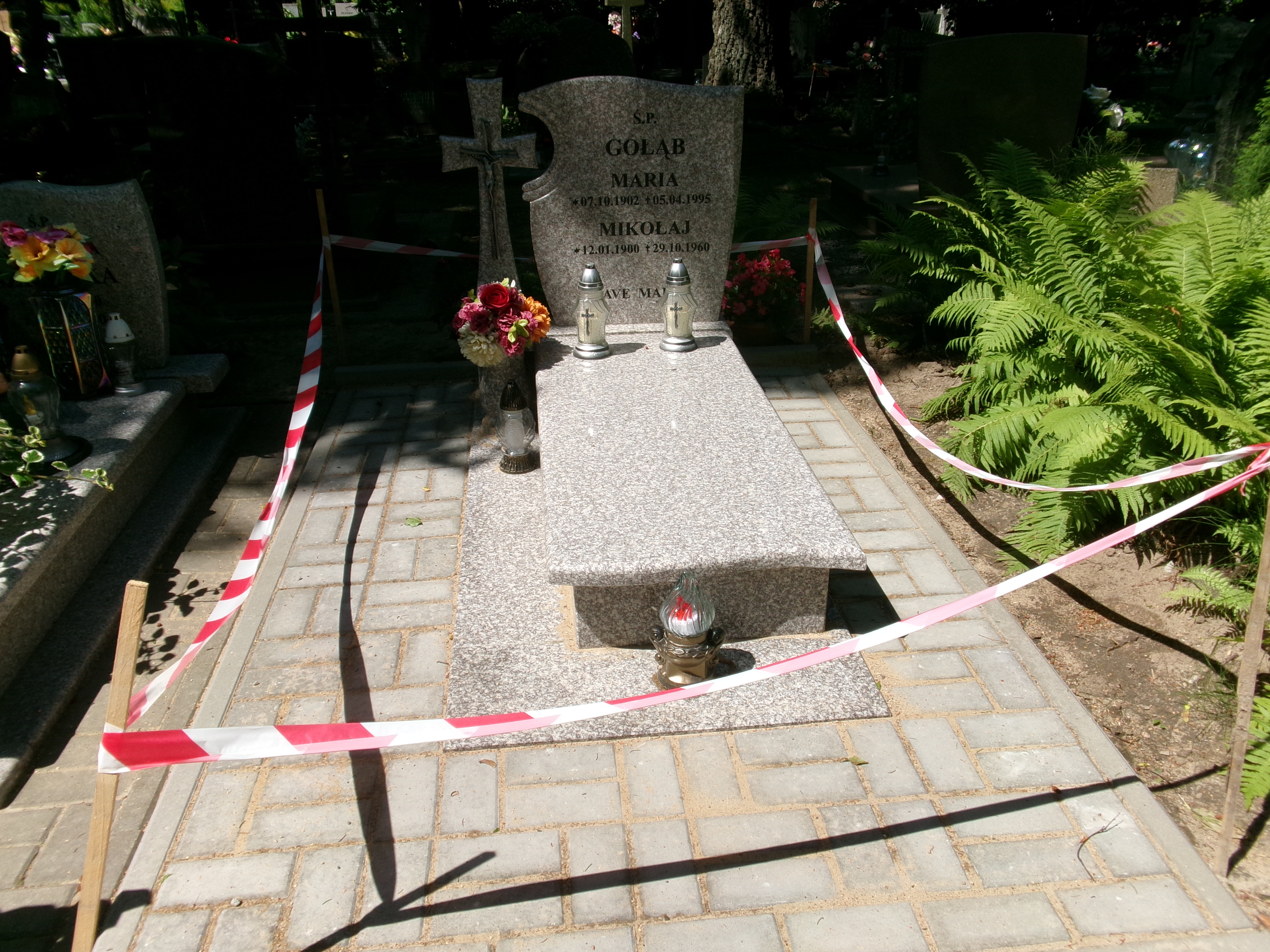 Grób Mikołaj Gołąb