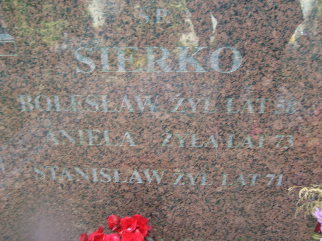 Bolesław Sierko 1904 Elbląg - Grobonet - Wyszukiwarka osób pochowanych