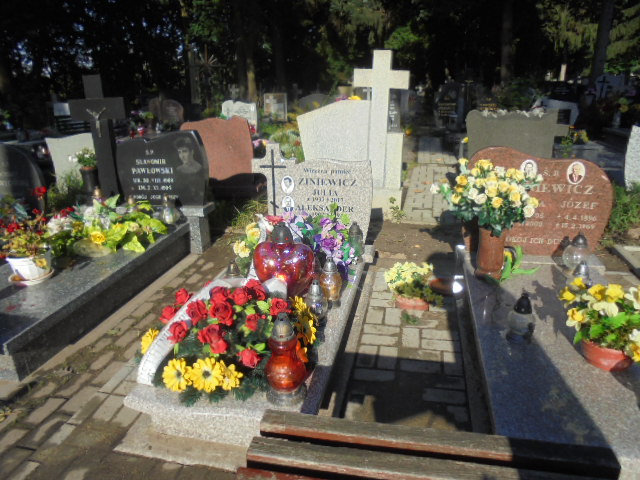 Grób Julia Ziniewicz