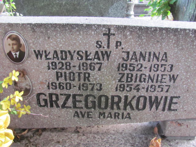 Janina Grzegorek 1952 Elbląg - Grobonet - Wyszukiwarka osób pochowanych