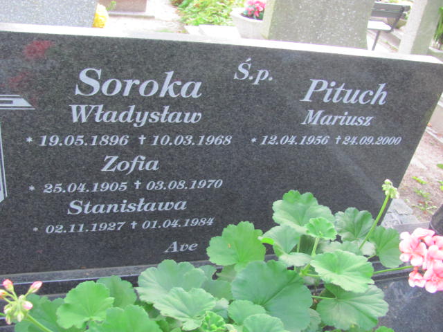 Eugeniusz Pituch 1928 Elbląg - Grobonet - Wyszukiwarka osób pochowanych