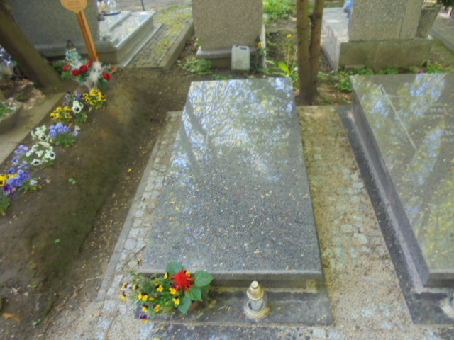 Grób Stanisław Michalczyk