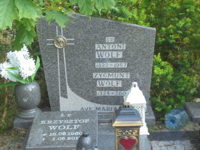 Zygmunt Wolf 1924 Elbląg - Grobonet - Wyszukiwarka osób pochowanych