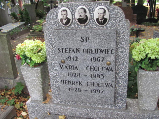 Maria Cholewa 1928 Elbląg - Grobonet - Wyszukiwarka osób pochowanych
