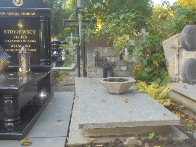Grób Marianna Janik - Przybysz