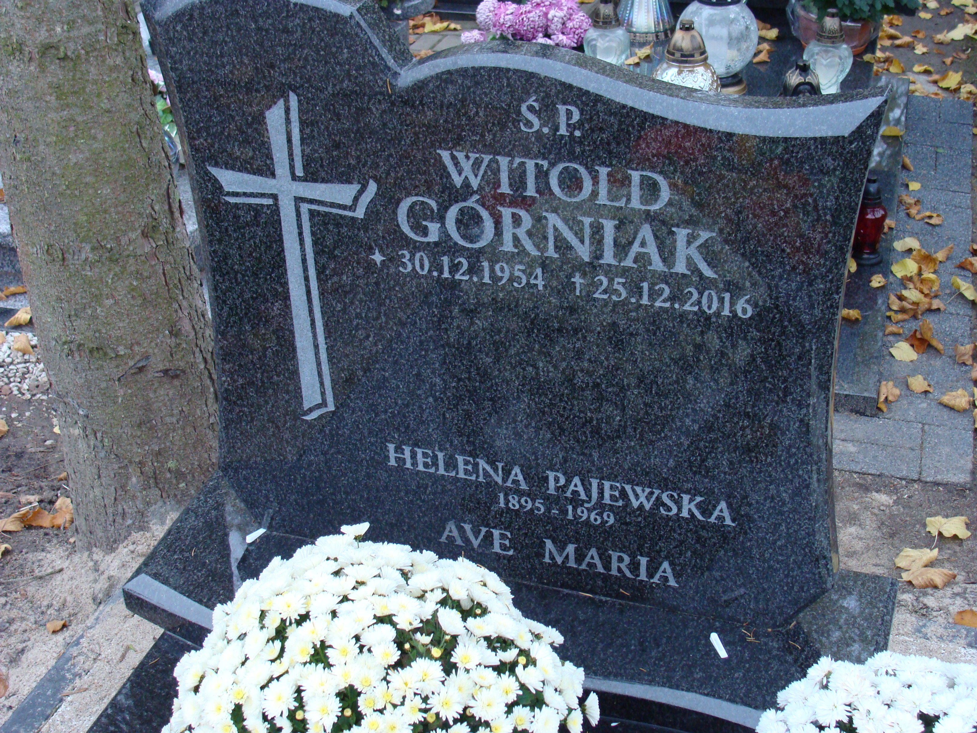 Witold Górniak 1954 Elbląg - Grobonet - Wyszukiwarka osób pochowanych