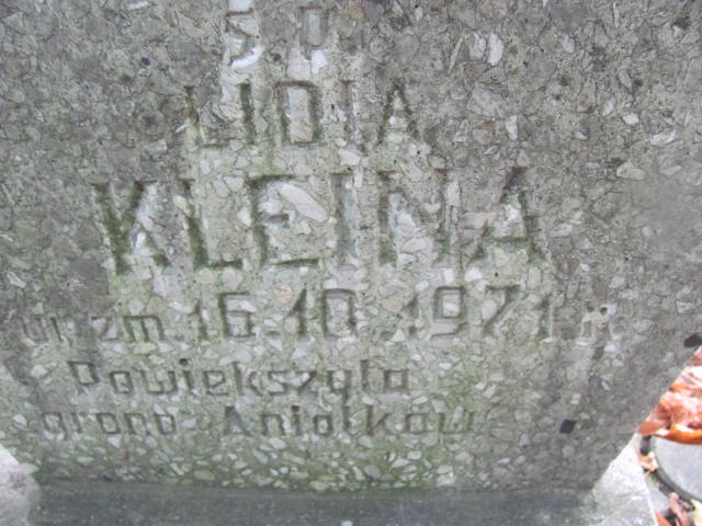 Kazimierz Kleina 1947 Elbląg - Grobonet - Wyszukiwarka osób pochowanych