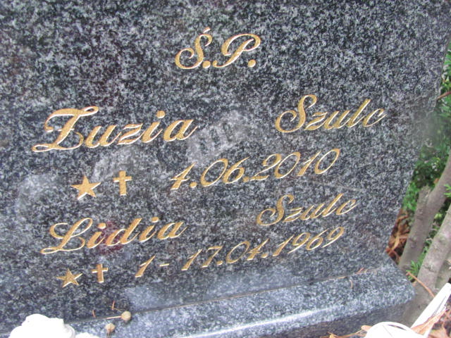 Lidia Szulc 1969 Elbląg - Grobonet - Wyszukiwarka osób pochowanych