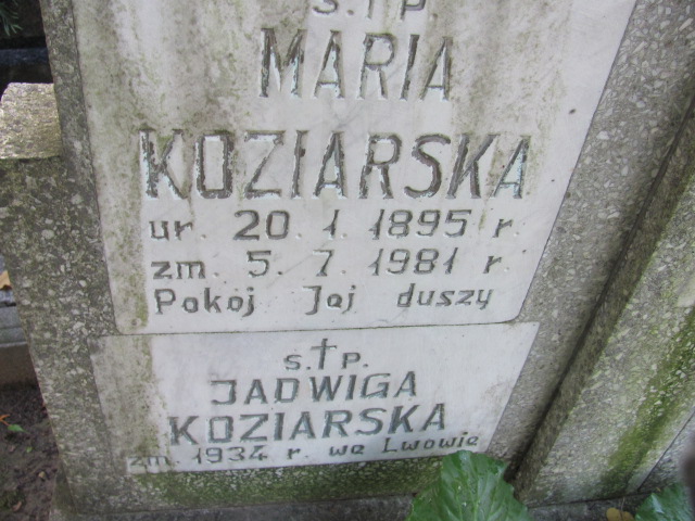 Maria Koziarska 1895 Elbląg - Grobonet - Wyszukiwarka osób pochowanych