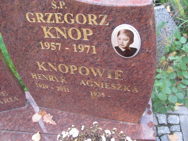 Agnieszka Knop 1935 Elbląg - Grobonet - Wyszukiwarka osób pochowanych