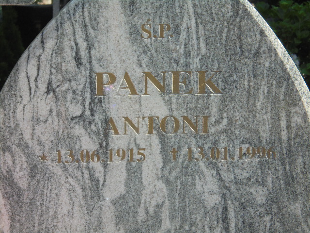 Henryka Panek 1927 Elbląg - Grobonet - Wyszukiwarka osób pochowanych