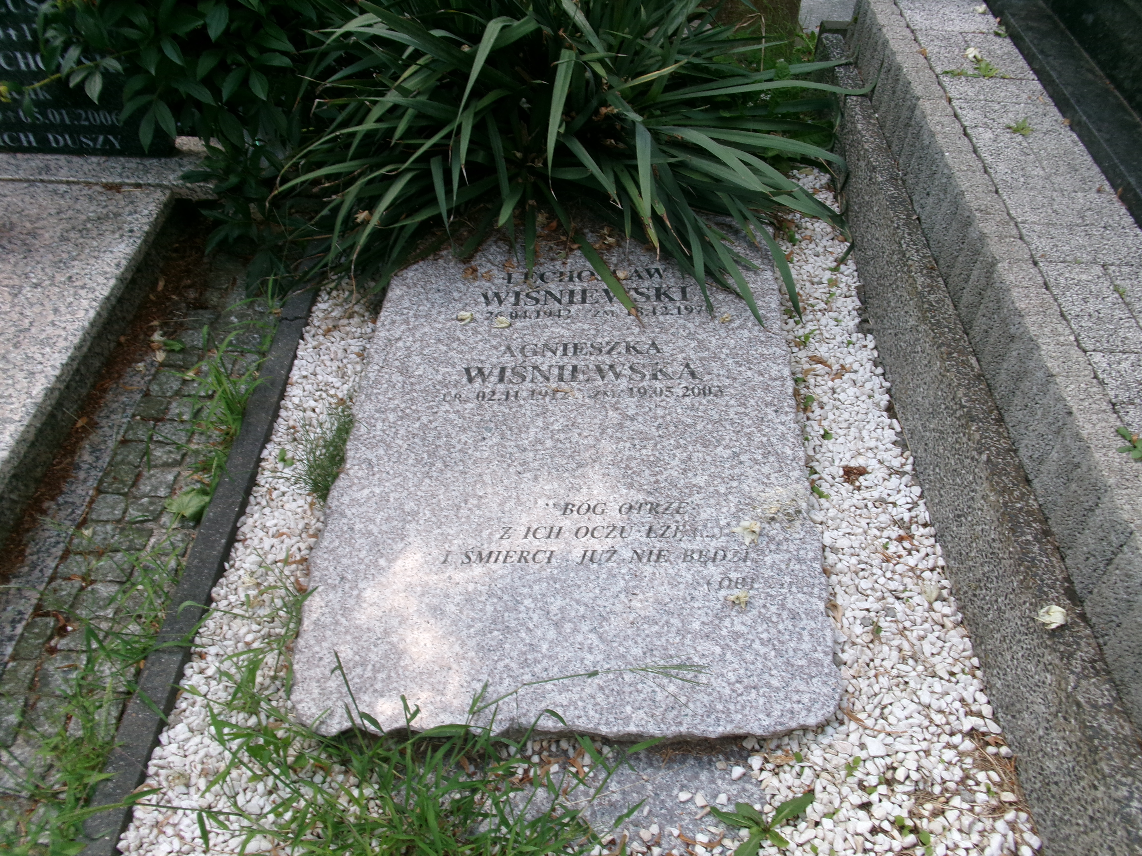 Agnieszka Wiśniewska 1912 Elbląg - Grobonet - Wyszukiwarka osób pochowanych
