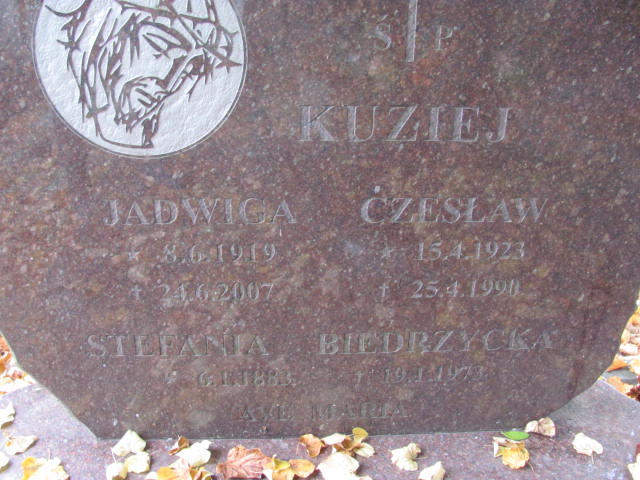 Stefania Biedrzycka 1883 Elbląg - Grobonet - Wyszukiwarka osób pochowanych