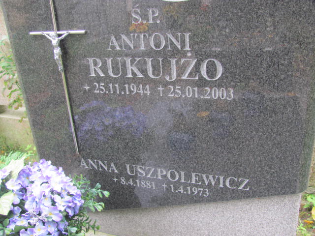 Anna Uszpolewicz 1881 Elbląg - Grobonet - Wyszukiwarka osób pochowanych