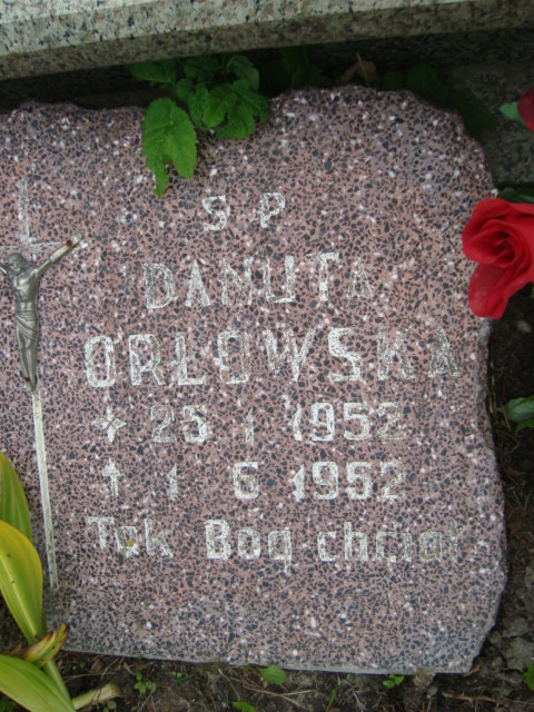 Elżbieta Orłowska 1917 Elbląg - Grobonet - Wyszukiwarka osób pochowanych