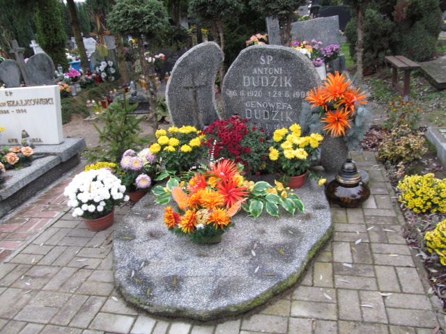 Grób Genowefa Dudzik