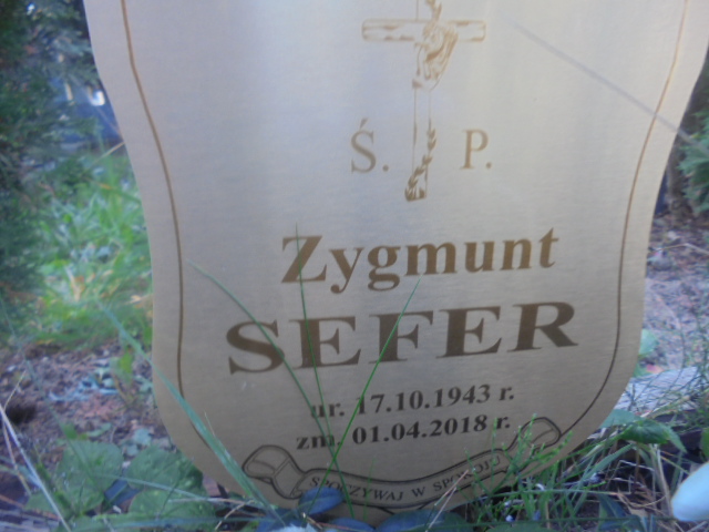 Zygmunt Sefer 1943 Elbląg - Grobonet - Wyszukiwarka osób pochowanych