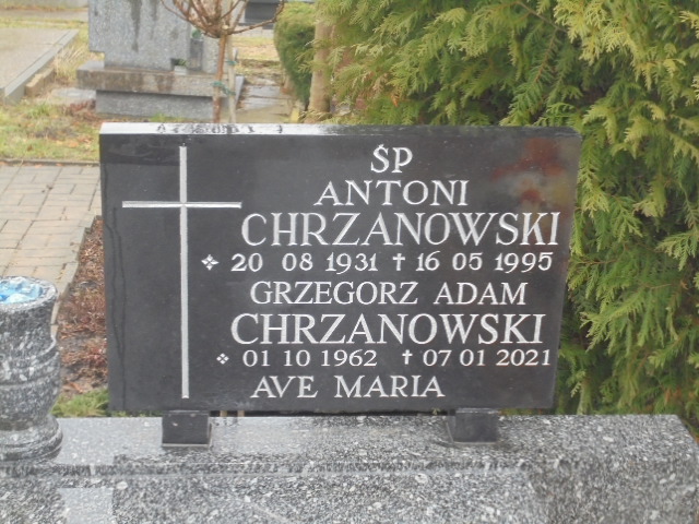 Antoni Chrzanowski 1931 Elbląg - Grobonet - Wyszukiwarka osób pochowanych
