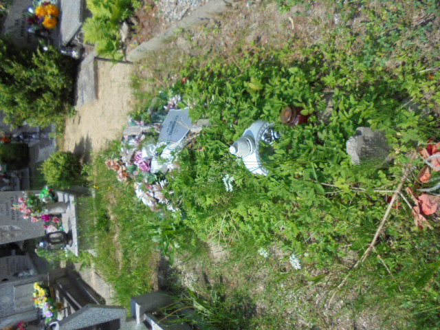 Grób Wanda  Twarowska