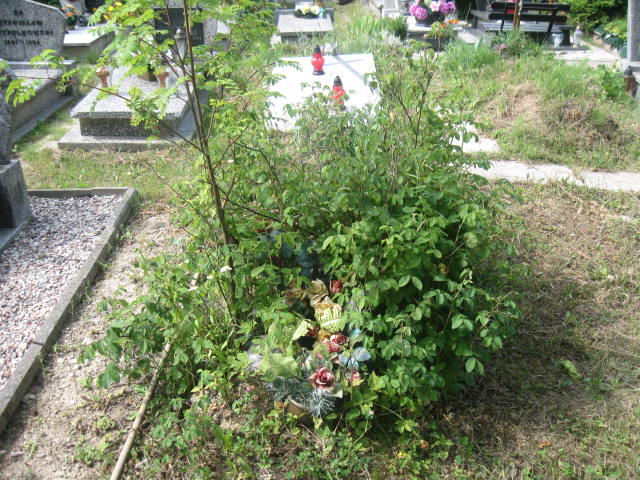 Grób Teresa Romanowska