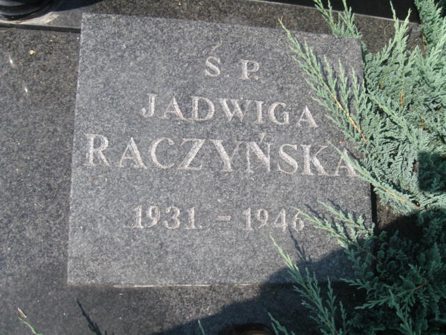 Józefa Raczyńska 1900 Elbląg - Grobonet - Wyszukiwarka osób pochowanych