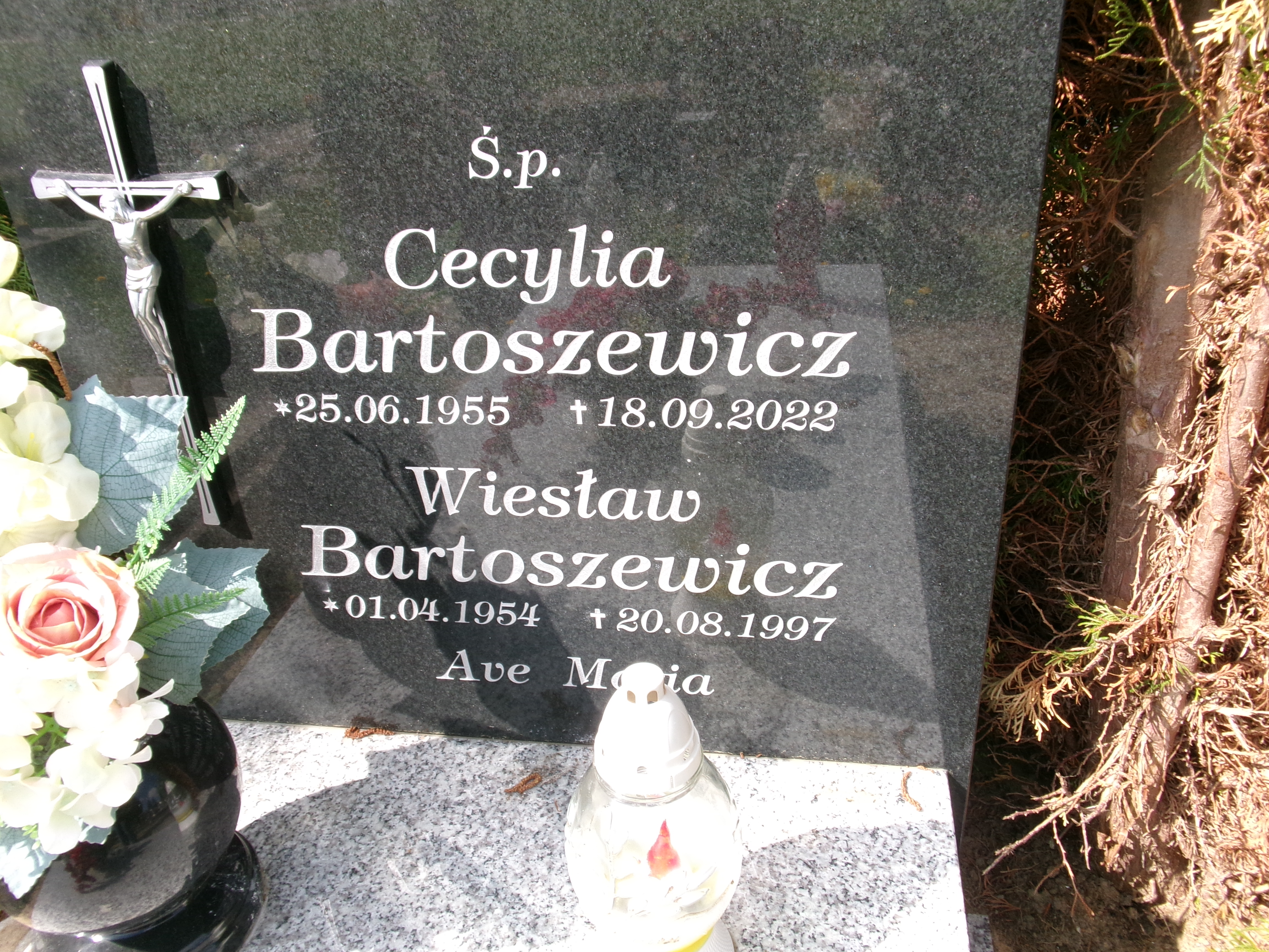 Wiesław Bartoszewicz 1954 Elbląg - Grobonet - Wyszukiwarka osób pochowanych