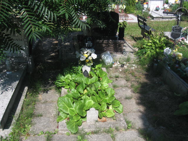 Grób Emilia Dywizjusz