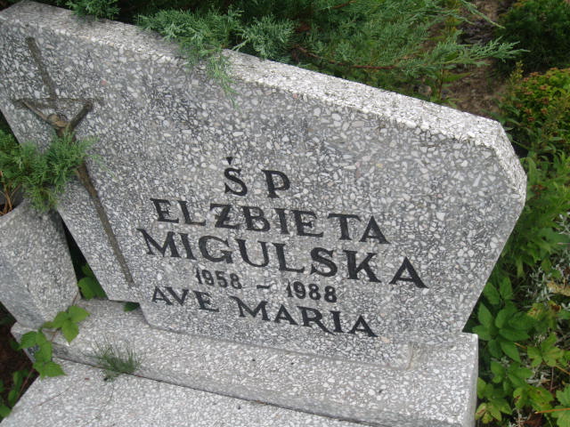 Sylwester Migulski 1954 Elbląg - Grobonet - Wyszukiwarka osób pochowanych