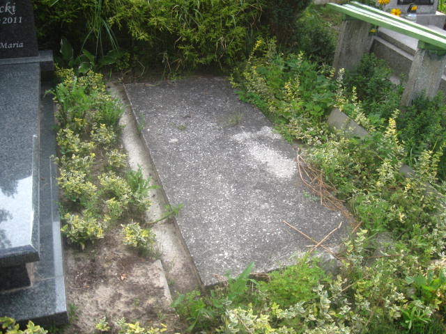 Jan Kubicki 1930 Elbląg - Grobonet - Wyszukiwarka osób pochowanych