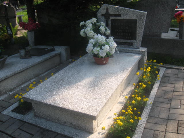 Grób Leon Lipnicki