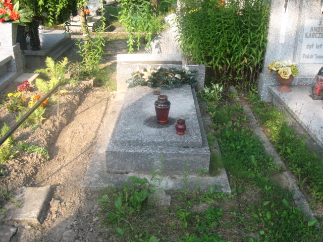 Grób Michalina Gulewska