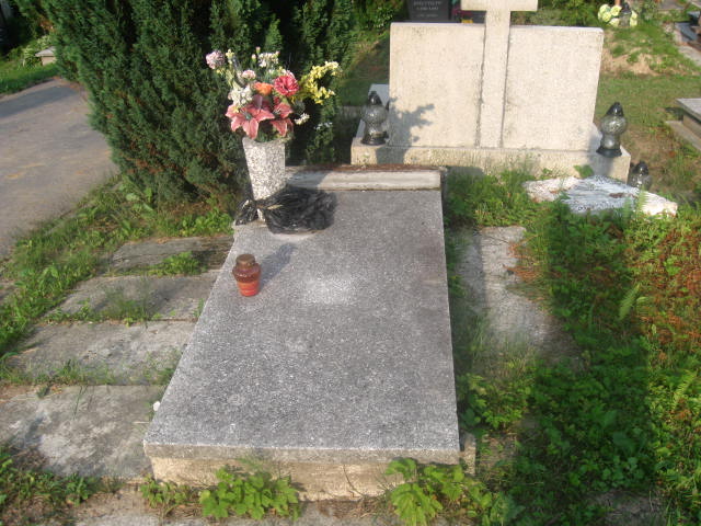 Grób Apolonia Daszkowska