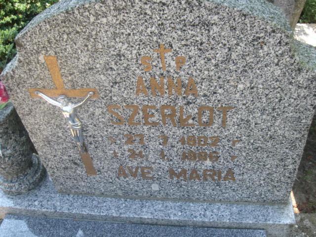 Janusz Ławrynowicz  1949 Elbląg - Grobonet - Wyszukiwarka osób pochowanych