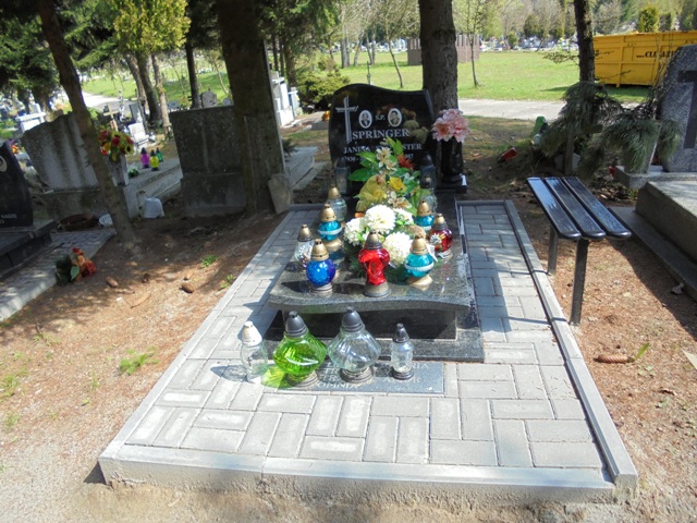 Sylwester Springer 1919 Elbląg - Grobonet - Wyszukiwarka osób pochowanych