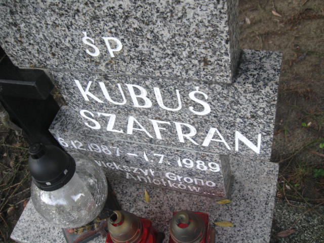 Jakub Szafran 1987 Elbląg - Grobonet - Wyszukiwarka osób pochowanych