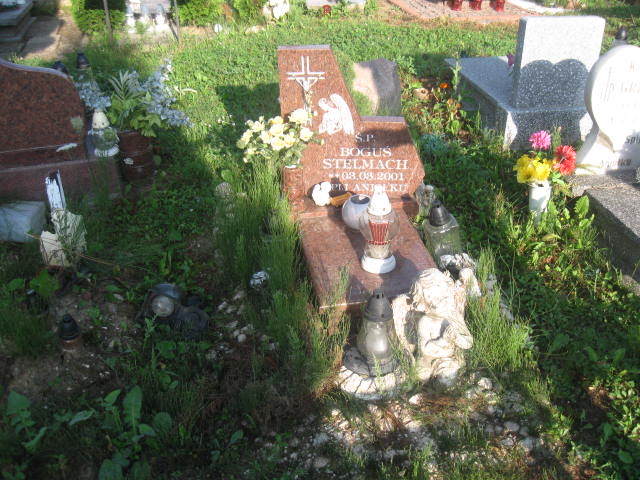 Grób Bogusław Stelmach