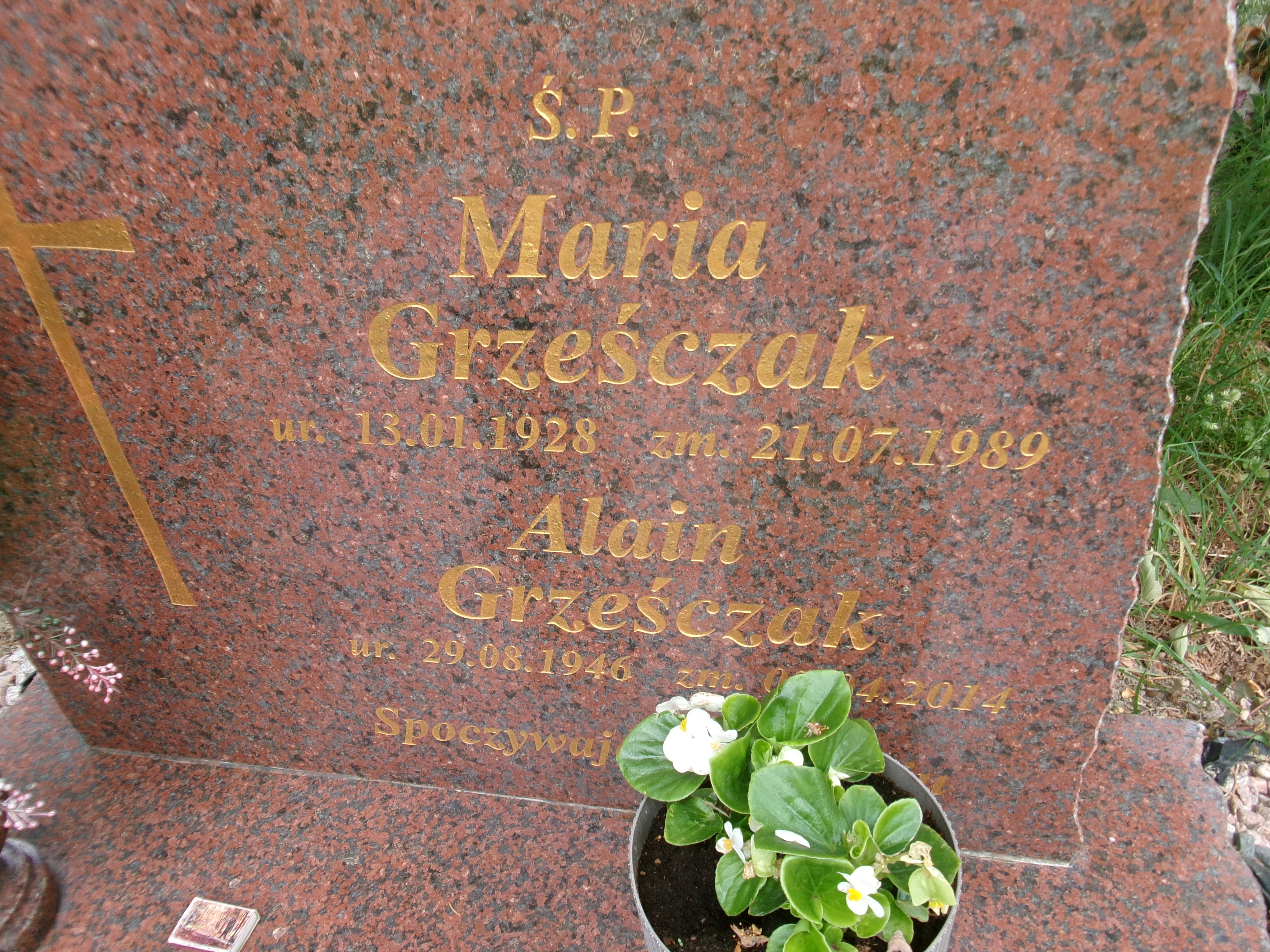 Alain Grześczak 1946 Elbląg - Grobonet - Wyszukiwarka osób pochowanych