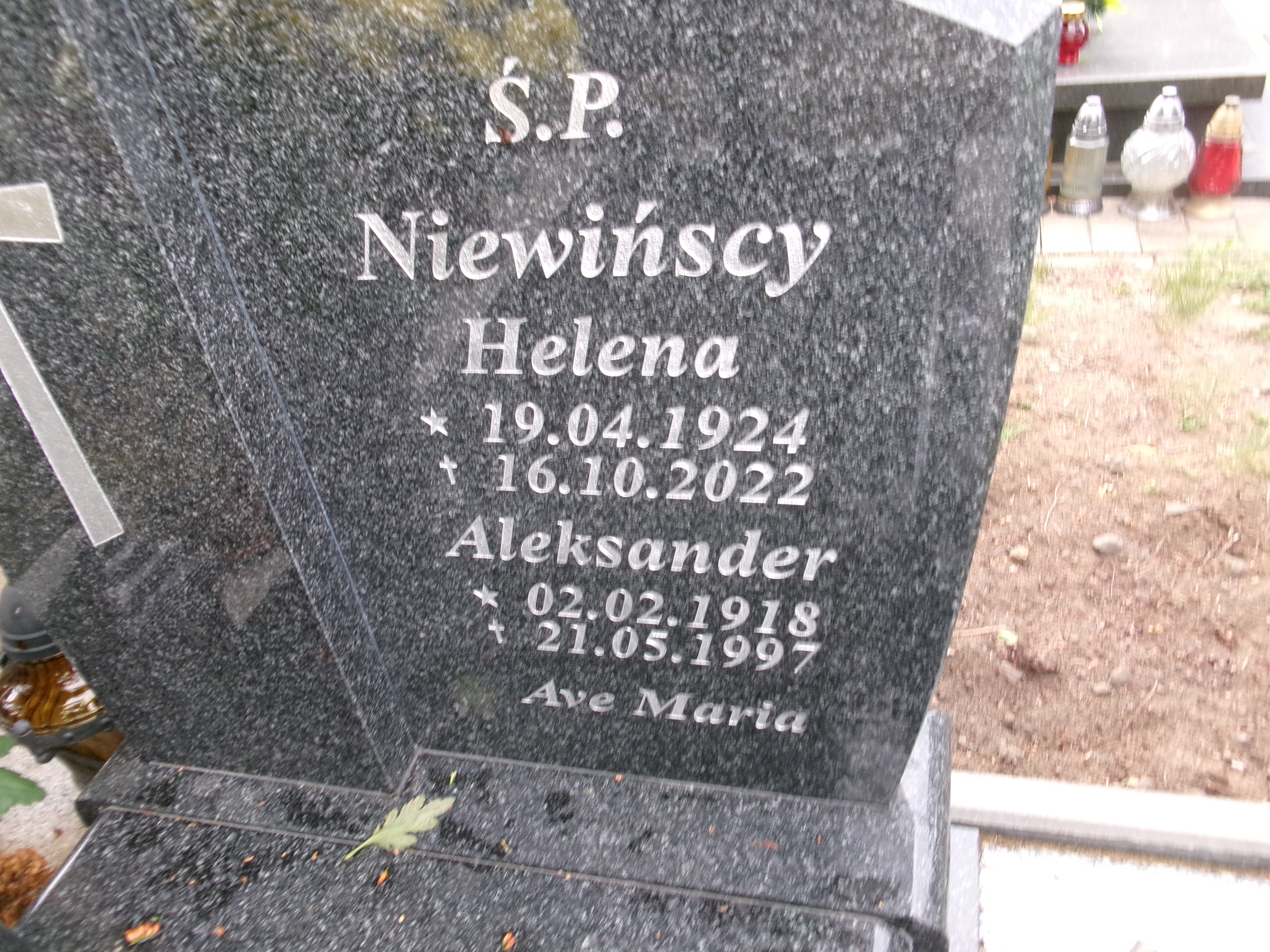 Aleksadner Niewiński 1918 Elbląg - Grobonet - Wyszukiwarka osób pochowanych