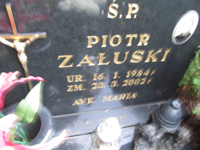 Piotr Załuski 1984 Elbląg - Grobonet - Wyszukiwarka osób pochowanych