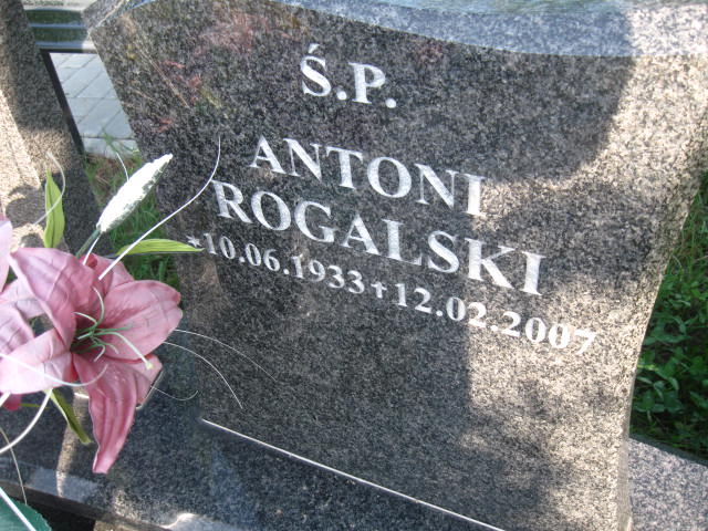 Halina Rogalska 1938 Elbląg - Grobonet - Wyszukiwarka osób pochowanych