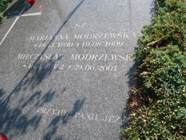 Mieczysław Modrzewski 1932 Elbląg - Grobonet - Wyszukiwarka osób pochowanych