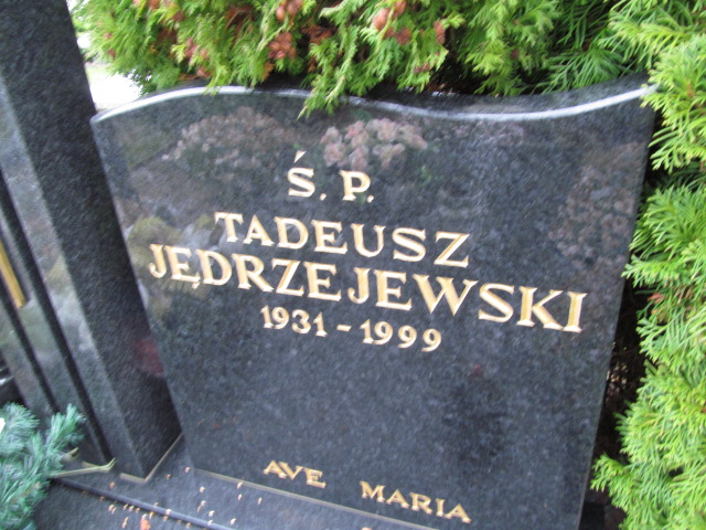 Tadeusz Jędrzejewski 1931 Elbląg - Grobonet - Wyszukiwarka osób pochowanych