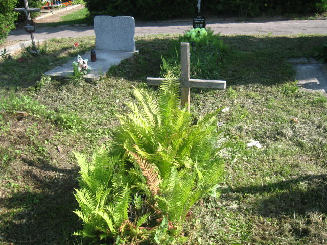 Grób Józef Kornowski