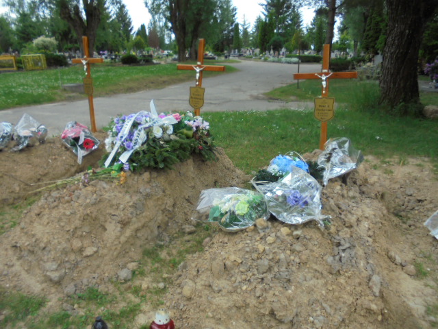 Grób Henryk Oczkowski