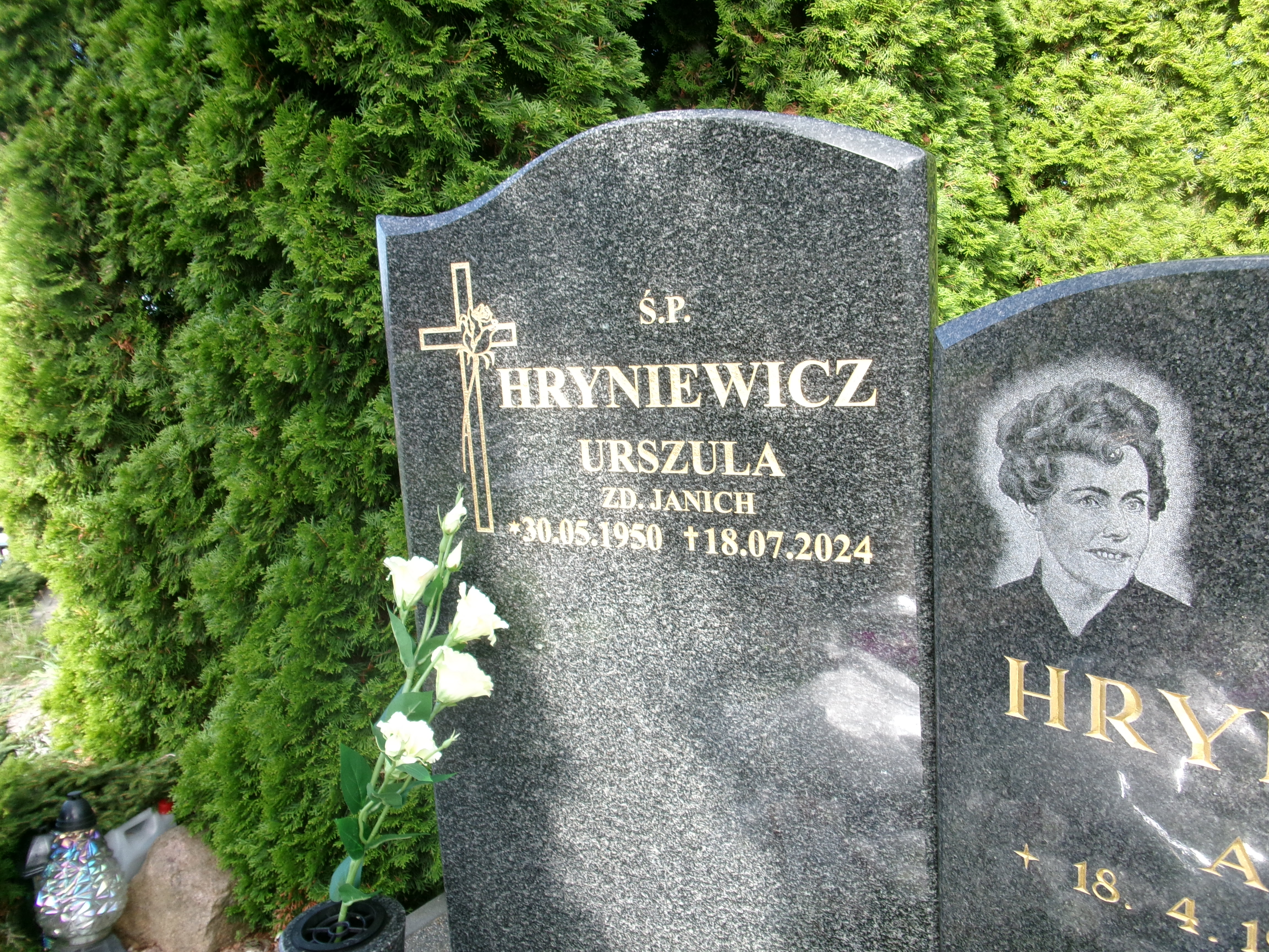 Antoni Hryniewicz 1921 Elbląg - Grobonet - Wyszukiwarka osób pochowanych