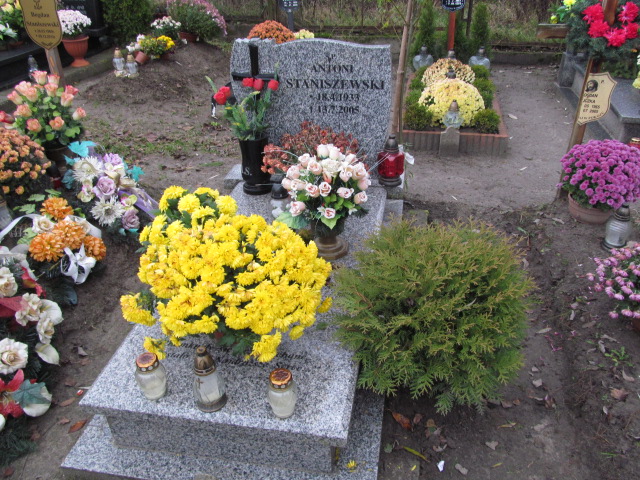 Grób Antoni Staniszewski