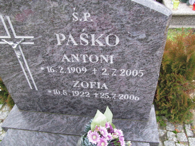Antoni Paśko 1909 Elbląg - Grobonet - Wyszukiwarka osób pochowanych